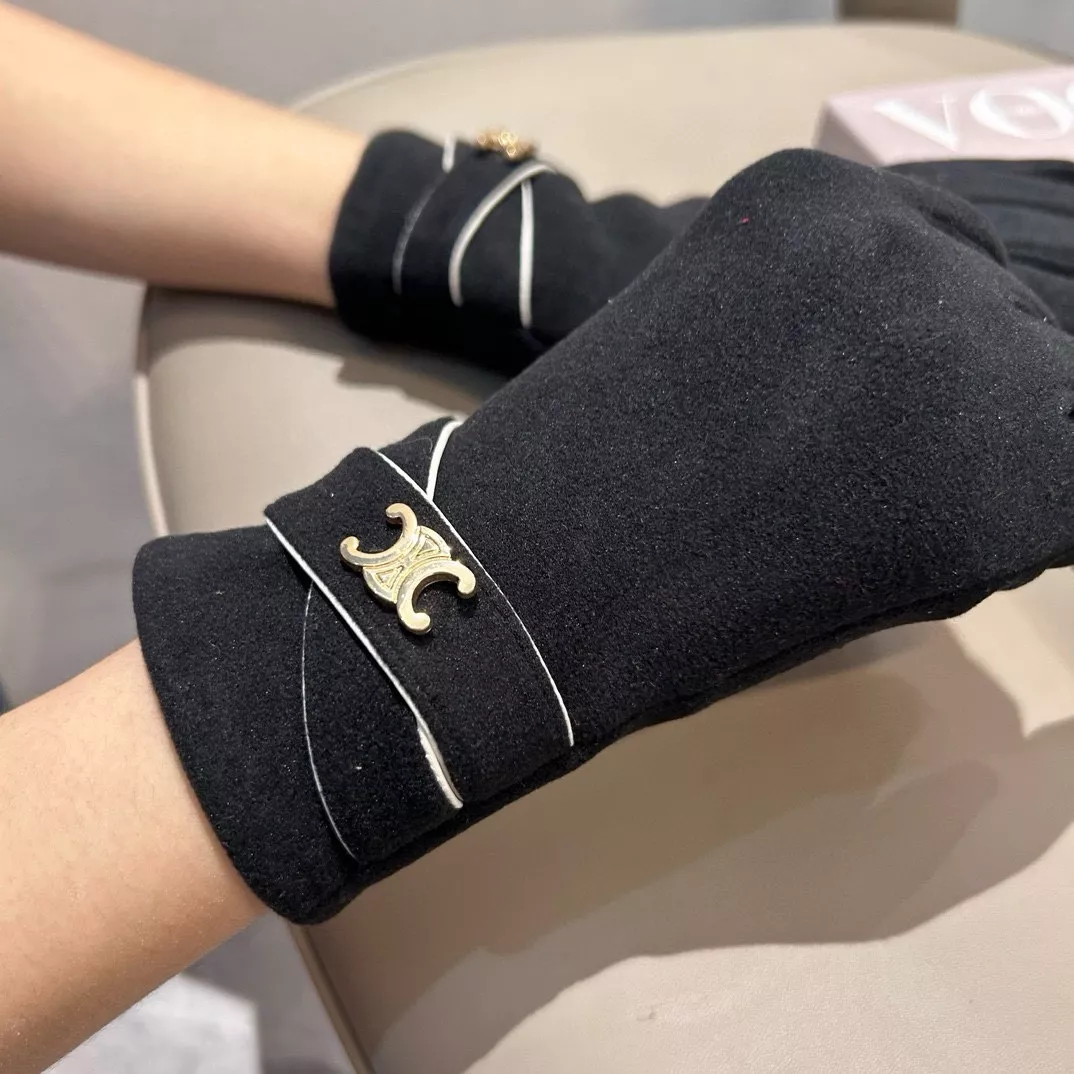 Celine Gloves Sleek 2587