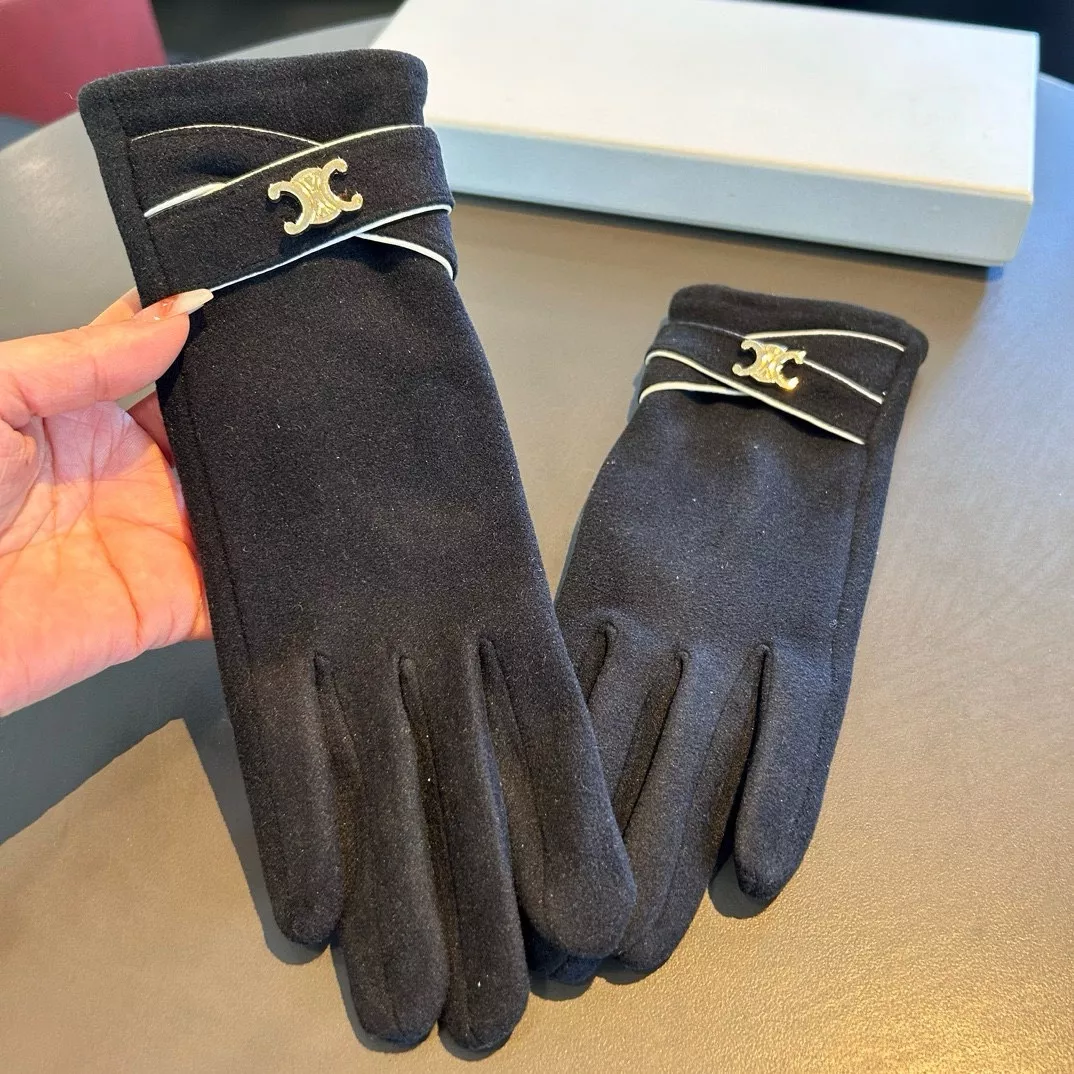 Celine Gloves Sleek 2587