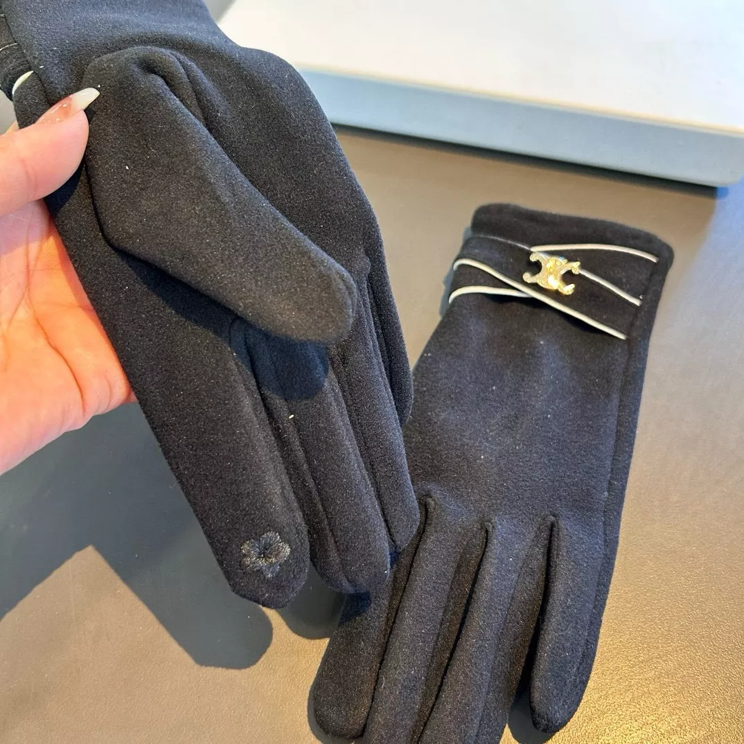 Celine Gloves Sleek 2587