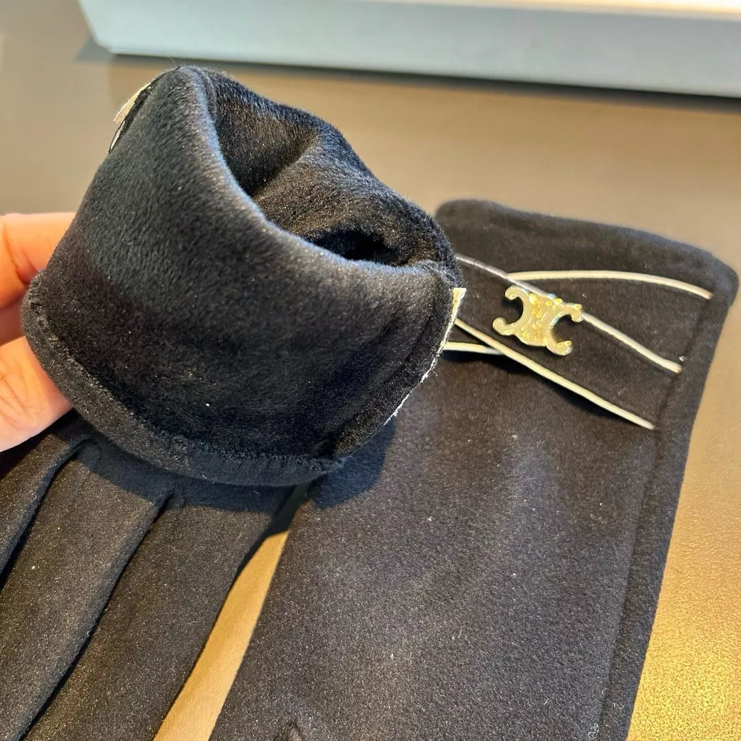 Celine Gloves Sleek 2587