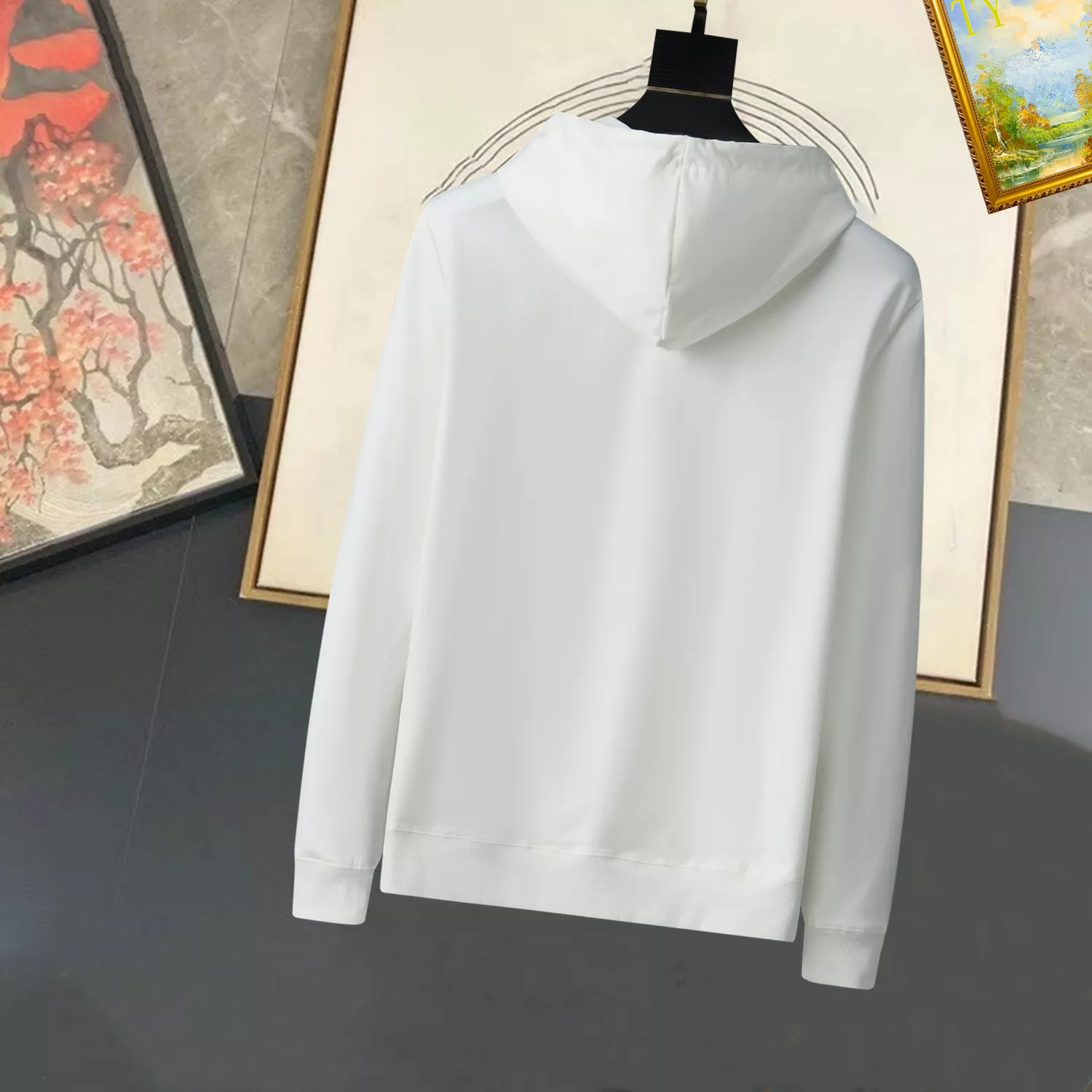 Celine Hoodies Long Sleeved For Men TopPick 1333