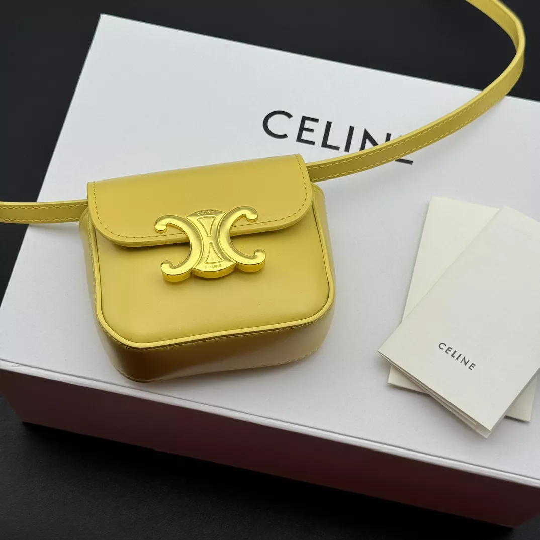 Celine Wallets Modern 4423