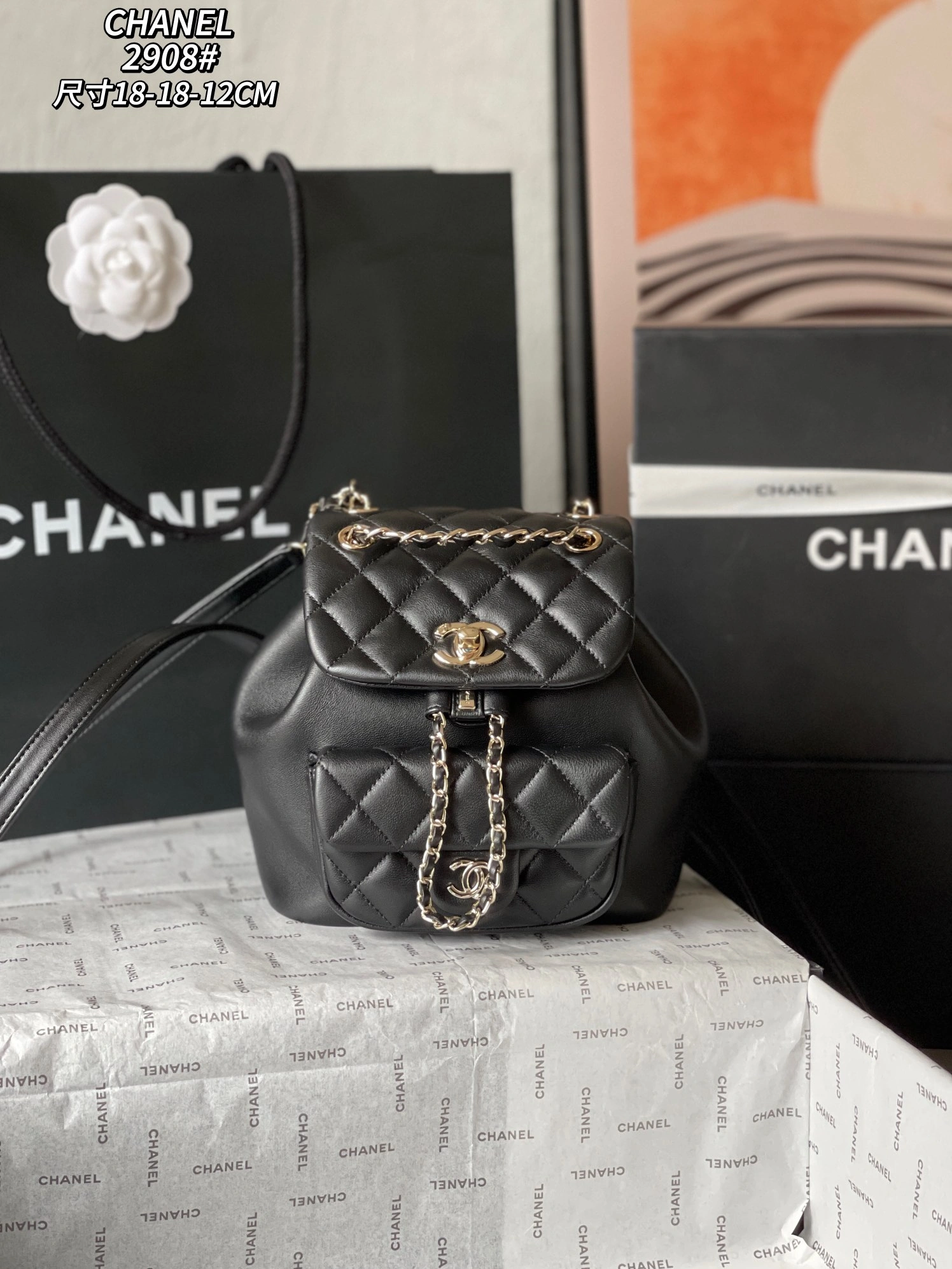Chanel AAA Quality Backpacks For Women StreetReady 781