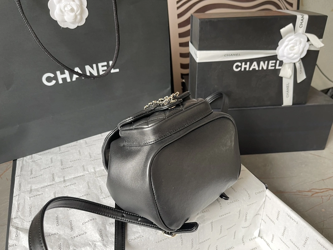 Chanel AAA Quality Backpacks For Women StreetReady 781