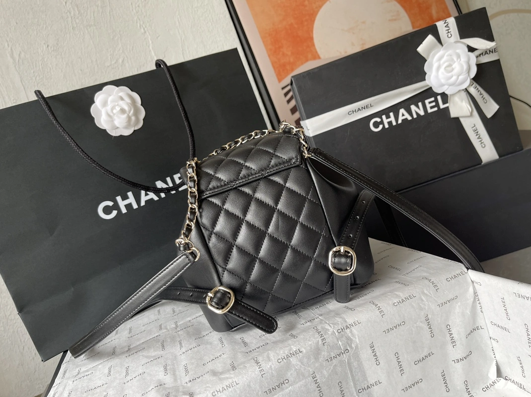 Chanel AAA Quality Backpacks For Women StreetReady 781
