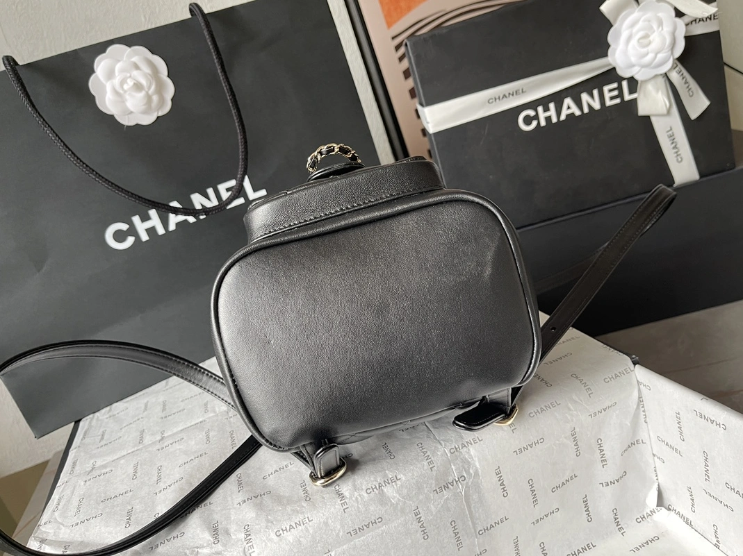 Chanel AAA Quality Backpacks For Women StreetReady 781