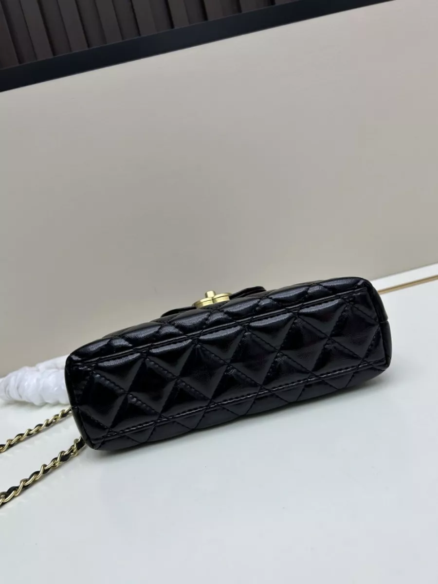 Chanel AAA Quality Handbags For Women Lightweight 2598