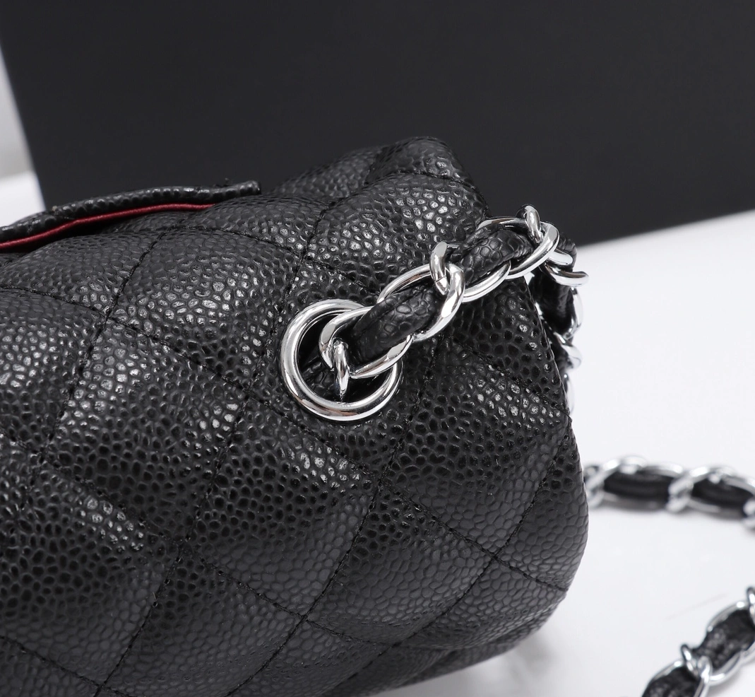 Chanel AAA Quality Messenger Bags For Women AllSeason 3965