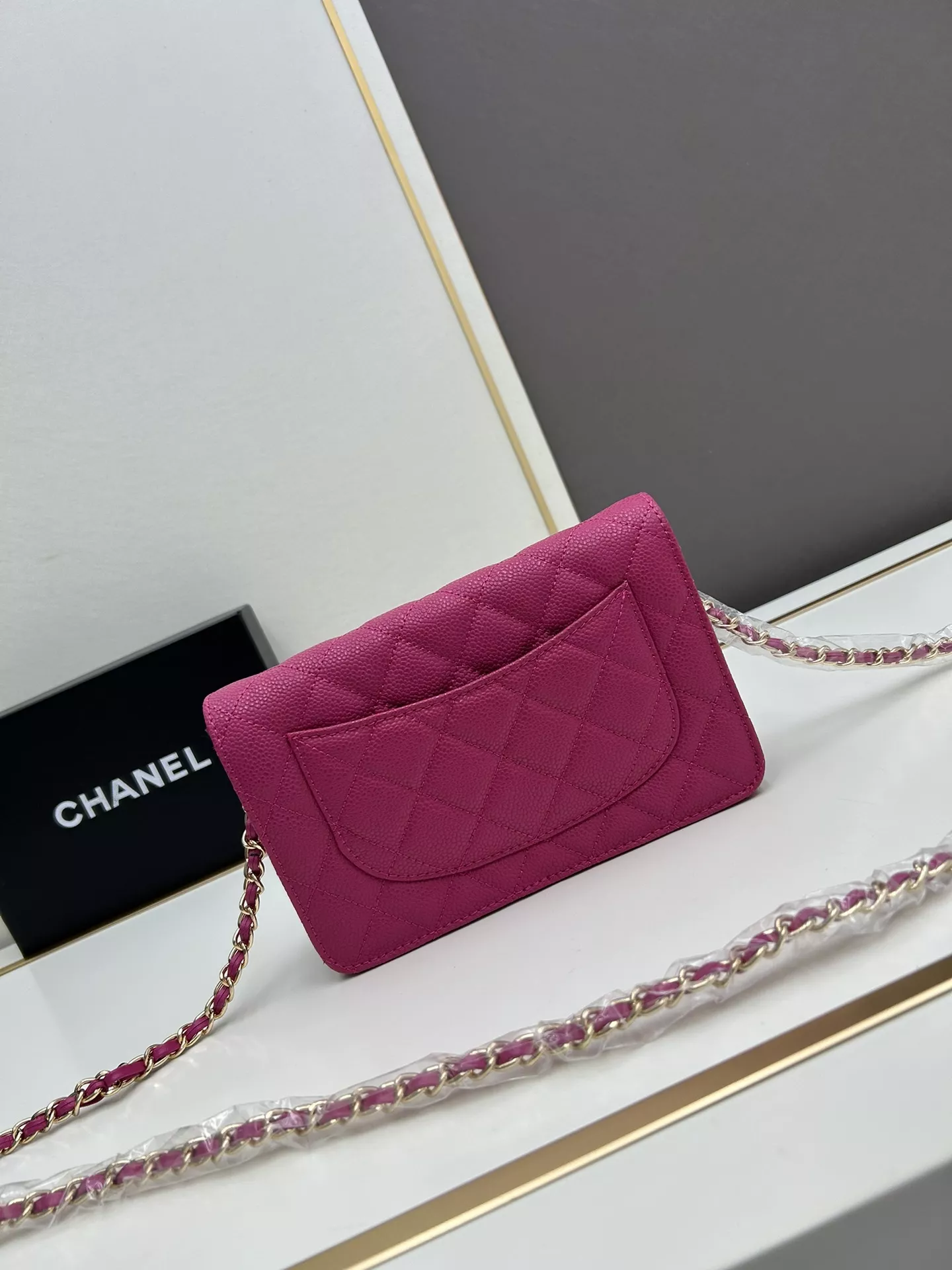Chanel AAA Quality Messenger Bags For Women AllSeason 8729