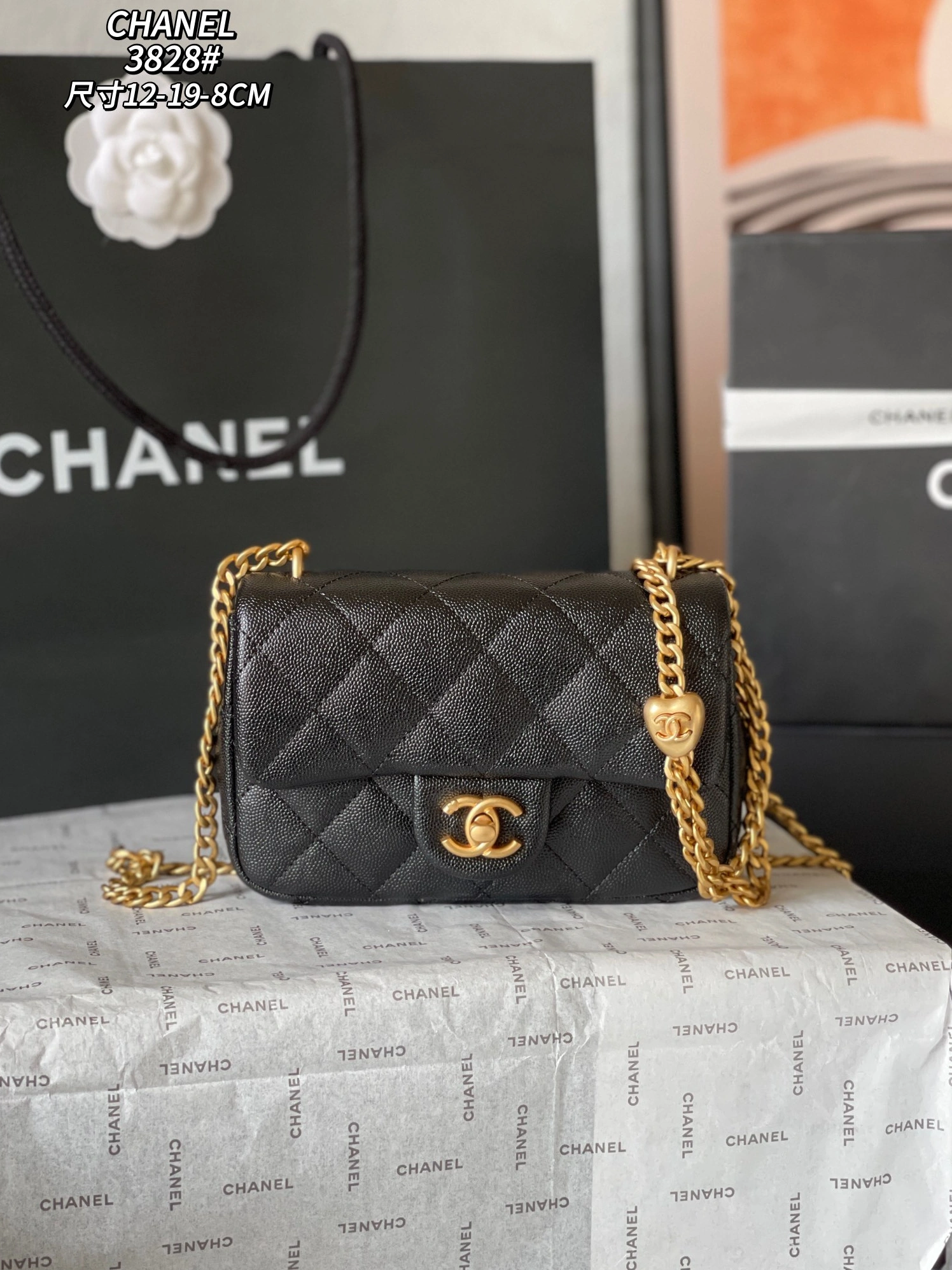 Chanel AAA Quality Messenger Bags For Women Breathable 6906