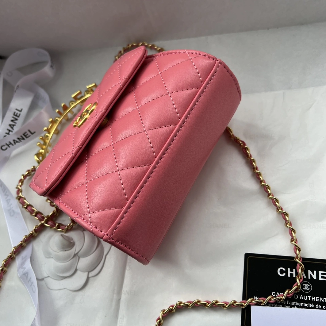 Chanel AAA Quality Messenger Bags For Women DailyWear 2215