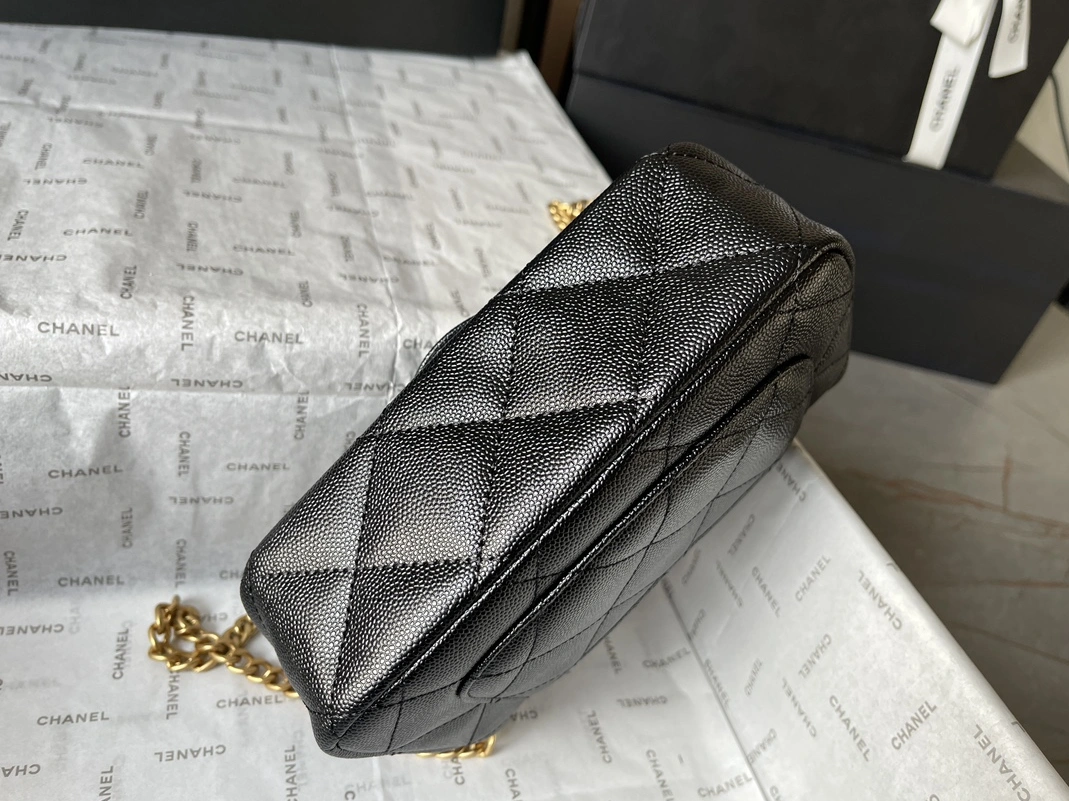 Chanel AAA Quality Messenger Bags For Women DailyWear 4612