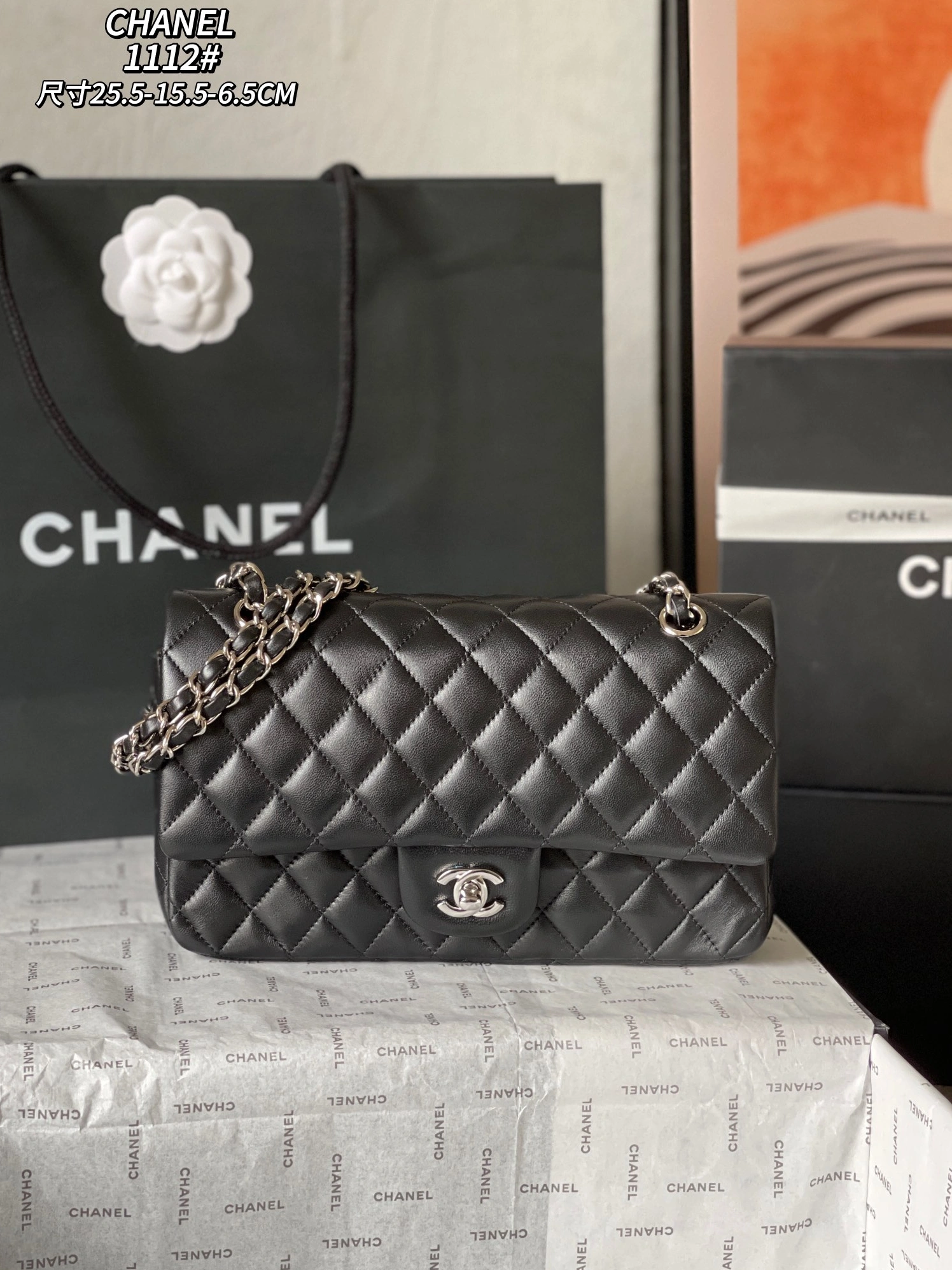 Chanel AAA Quality Messenger Bags For Women DailyWear 9122