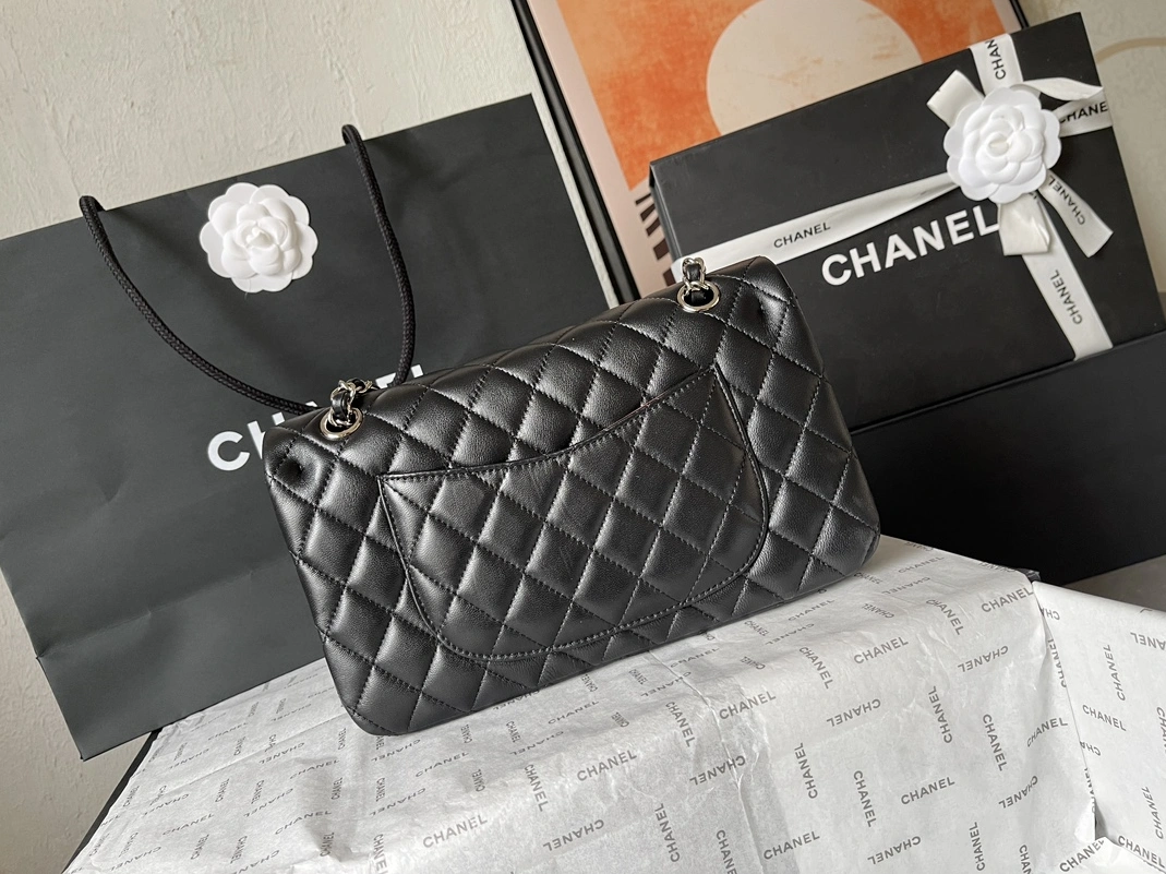 Chanel AAA Quality Messenger Bags For Women DailyWear 9122