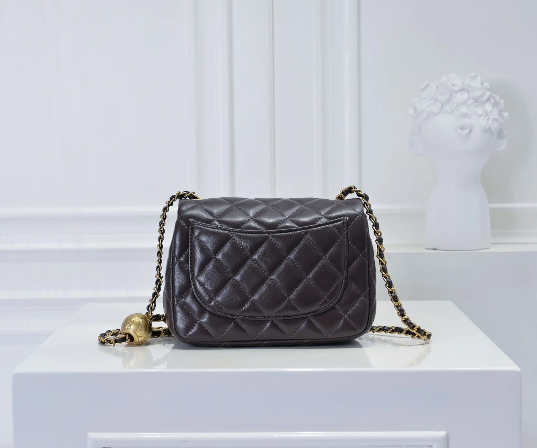 Chanel AAA Quality Messenger Bags For Women Resilient 3895
