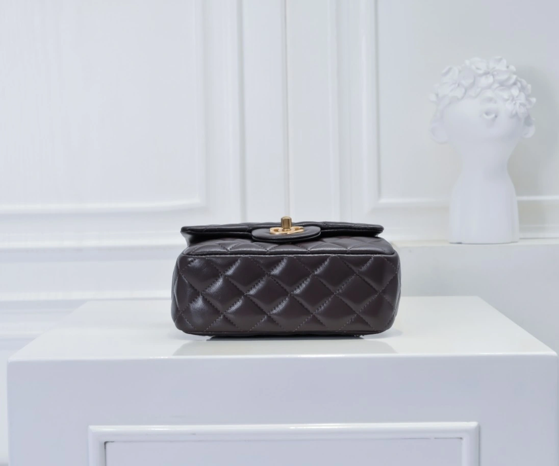 Chanel AAA Quality Messenger Bags For Women Resilient 3895