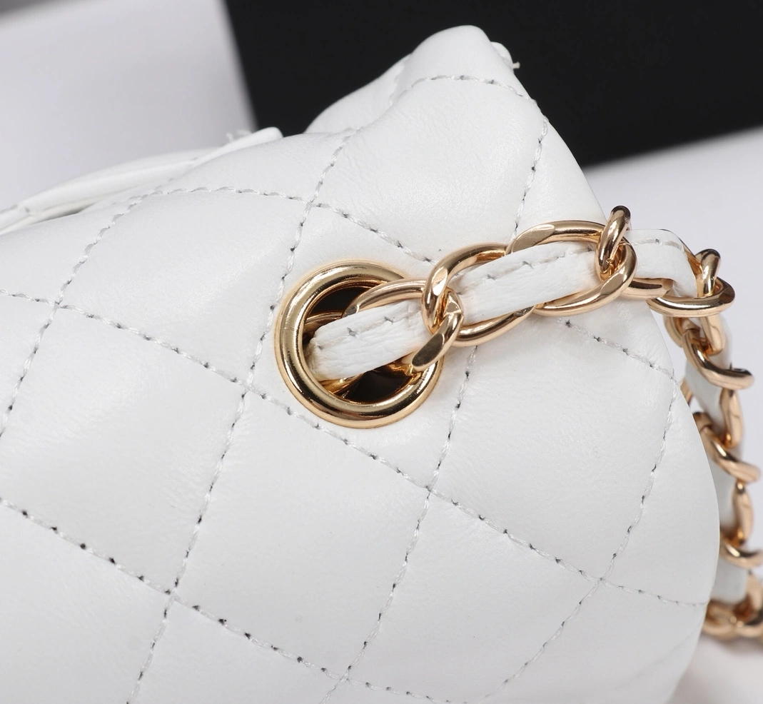 Chanel AAA Quality Messenger Bags For Women Sleek 4540