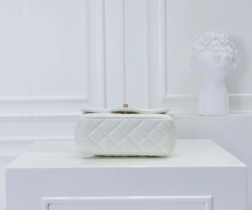 Chanel AAA Quality Messenger Bags For Women Sophisticated 102