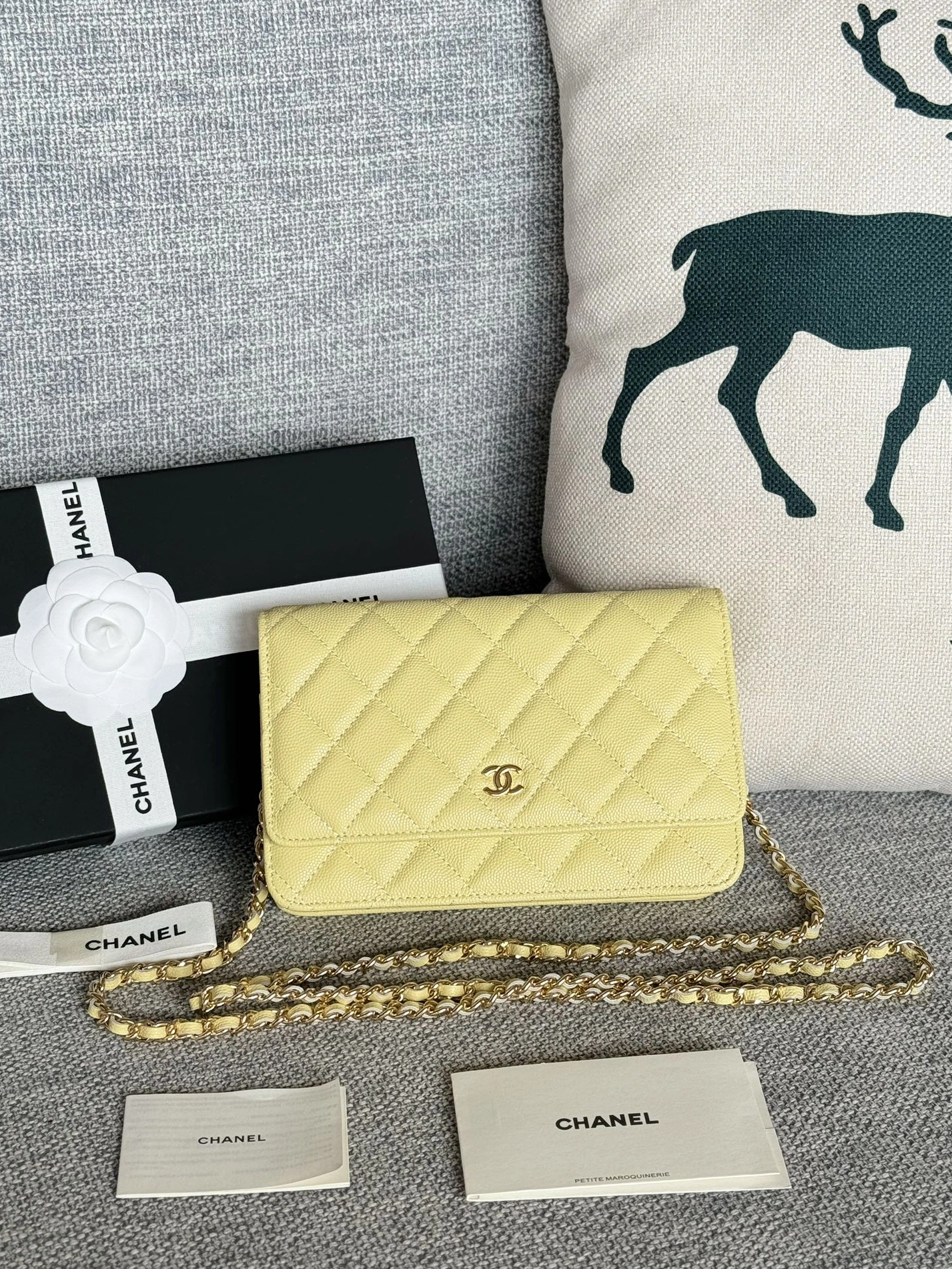Chanel AAA Quality Messenger Bags In Gold For Women Breathable 9797