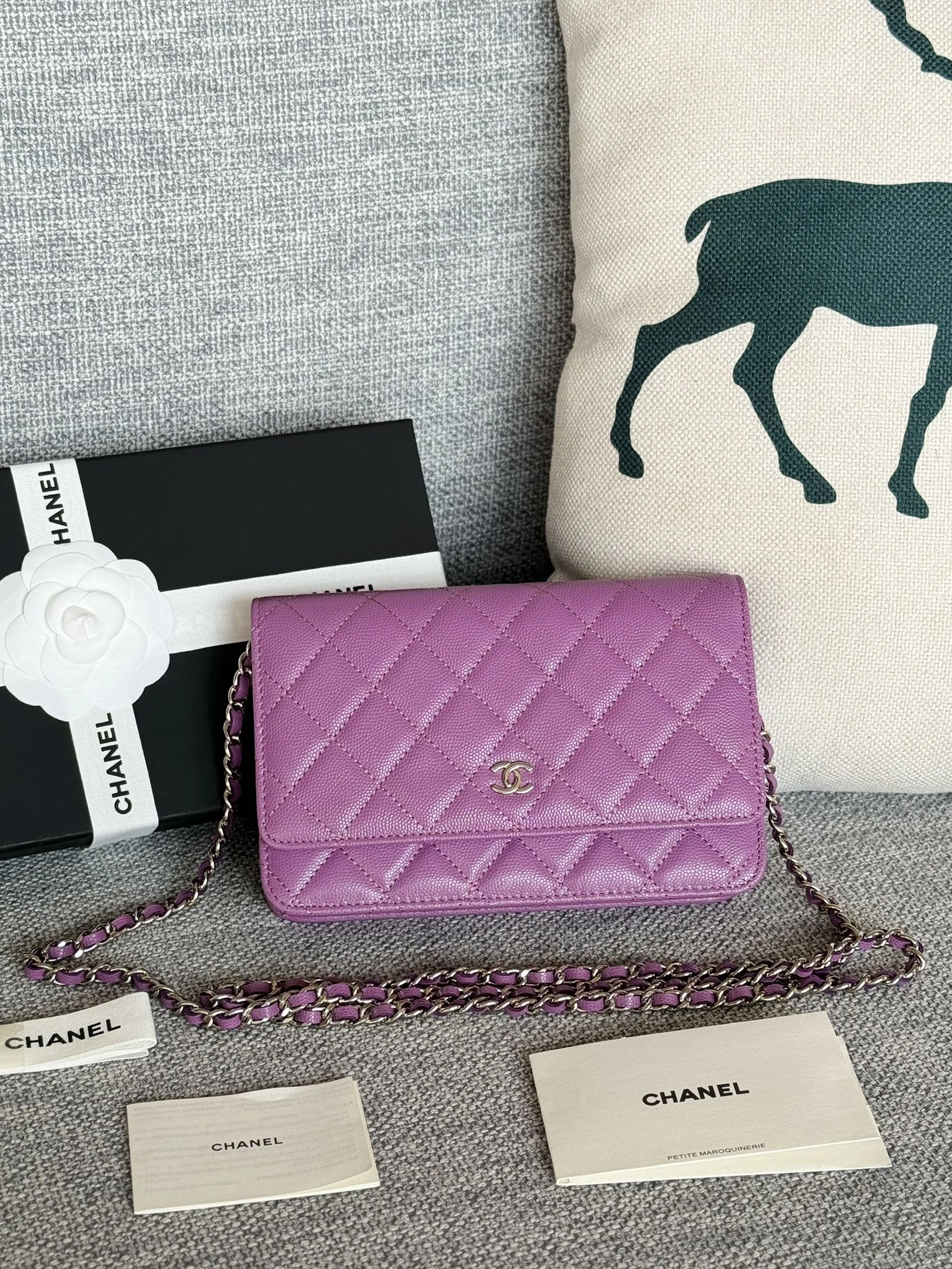 Chanel AAA Quality Messenger Bags In Silver For Women Trendy 7025