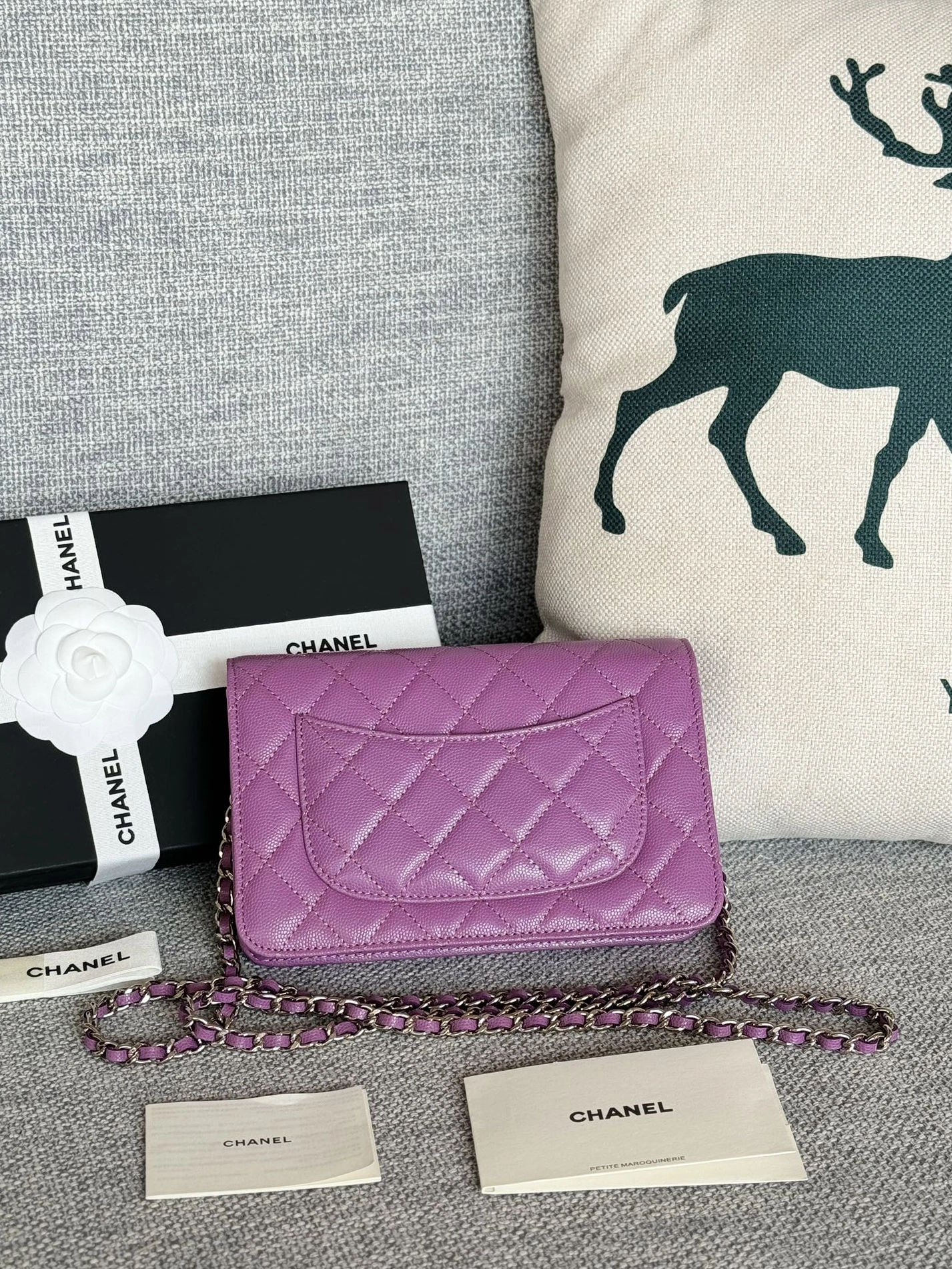 Chanel AAA Quality Messenger Bags In Silver For Women Trendy 7025