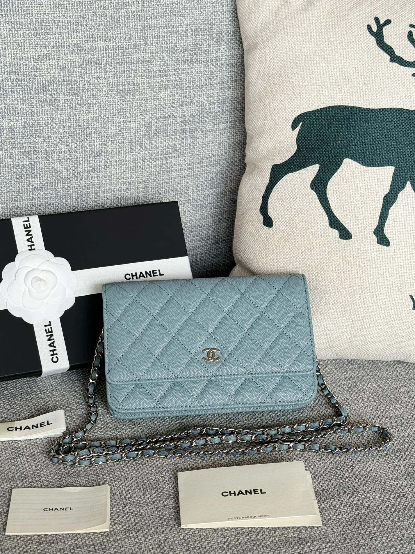 Chanel AAA Quality Messenger Bags In Silver For Women Versatile 9358