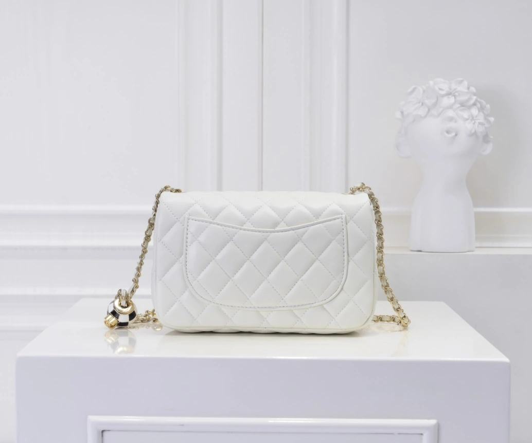 Chanel AAA Quality Messenger Bags Stylish 1015