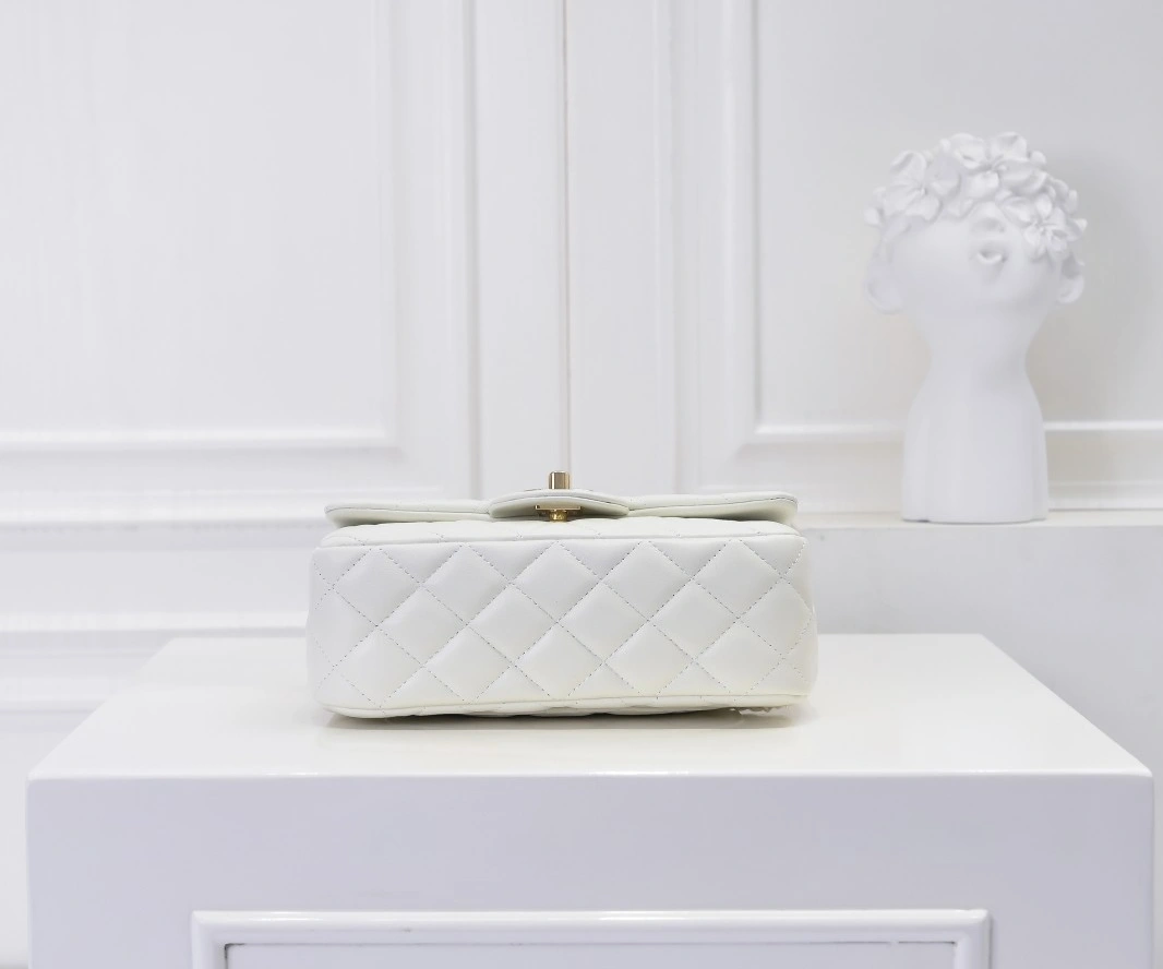 Chanel AAA Quality Messenger Bags Stylish 1015