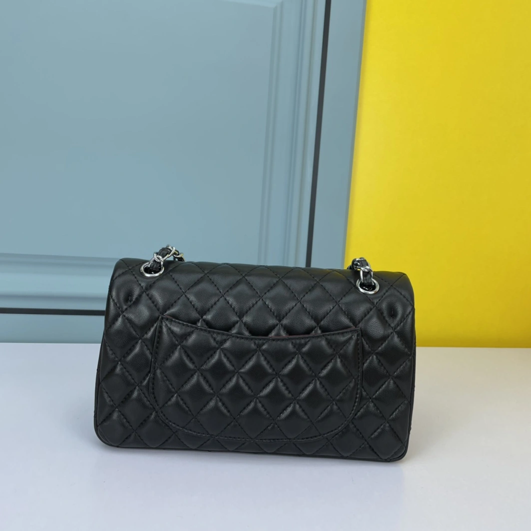 Chanel AAA Quality Shoulder Bags For Women DailyWear 4761