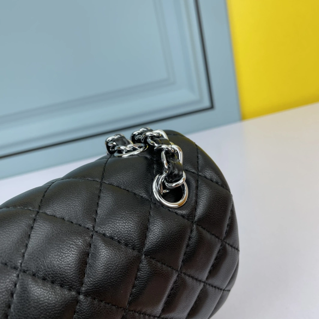 Chanel AAA Quality Shoulder Bags For Women DailyWear 4761