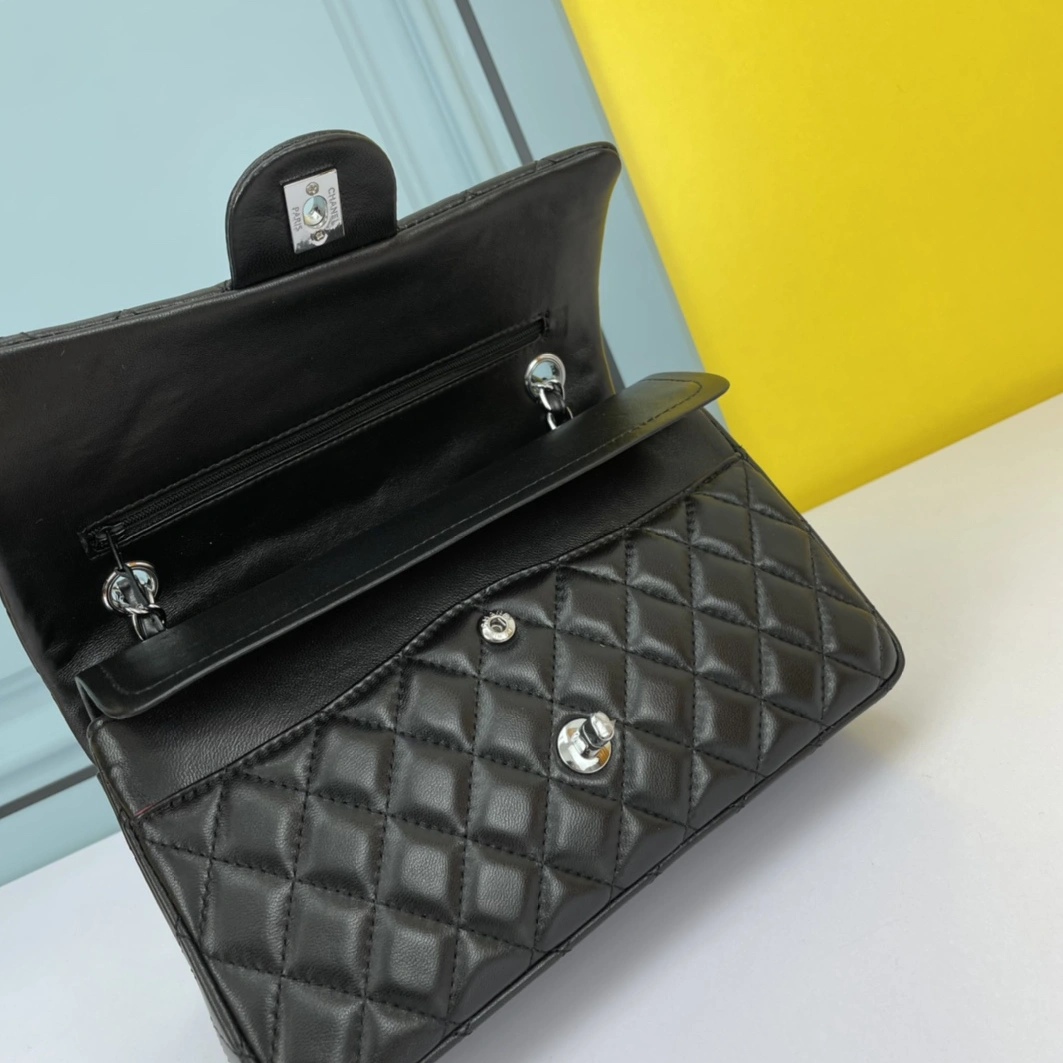 Chanel AAA Quality Shoulder Bags For Women DailyWear 4761