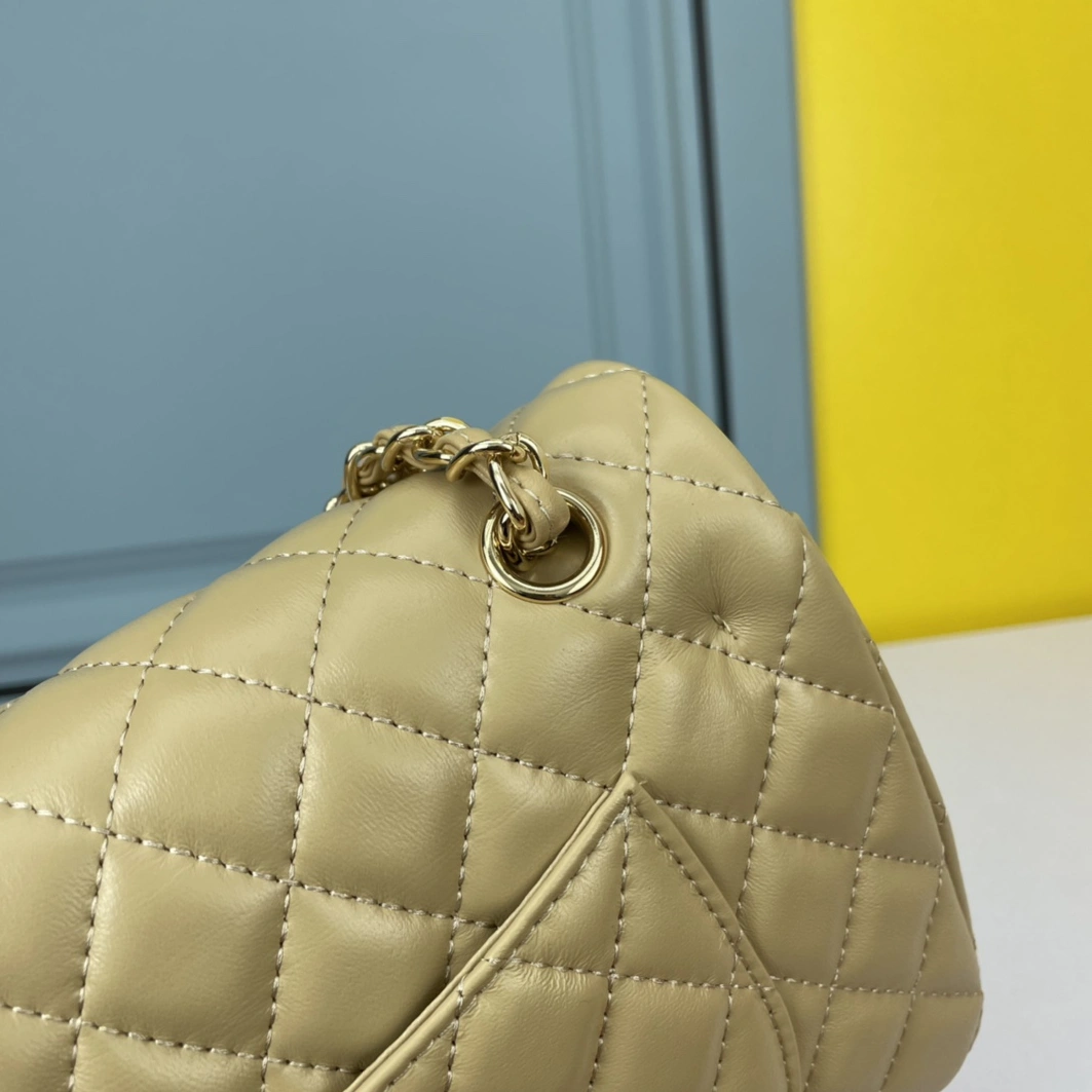 Chanel AAA Quality Shoulder Bags For Women Soft 5703