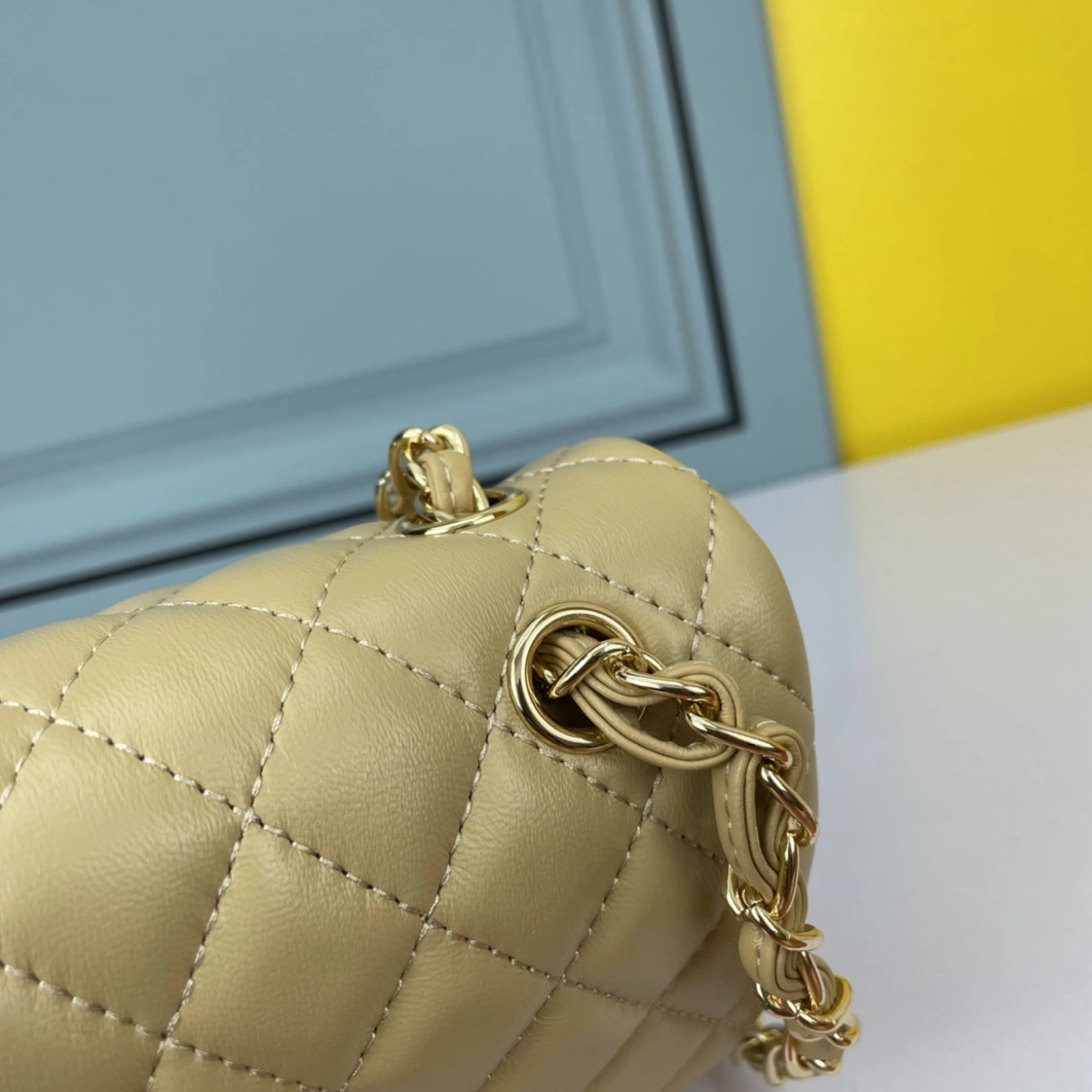 Chanel AAA Quality Shoulder Bags For Women Soft 5703