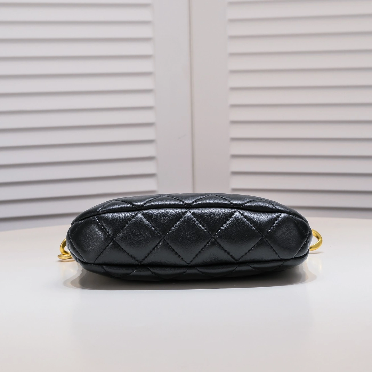 Chanel AAA Quality Shoulder Bags For Women Stylish 1819