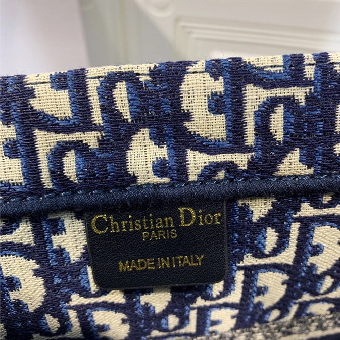 Christian Dior AAA Handbags AllSeason 5419