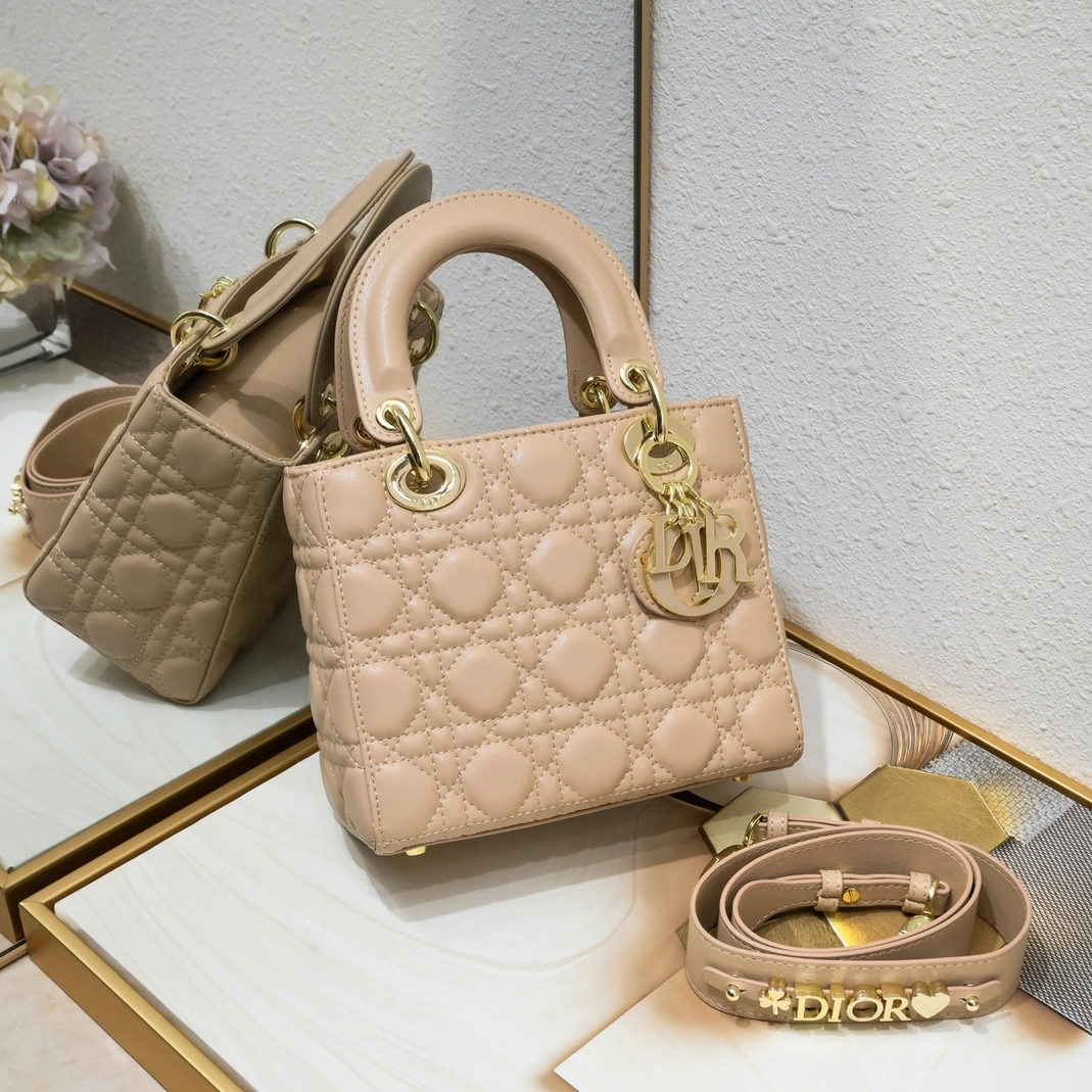 Christian Dior AAA Handbags For Women Trendsetting 3351