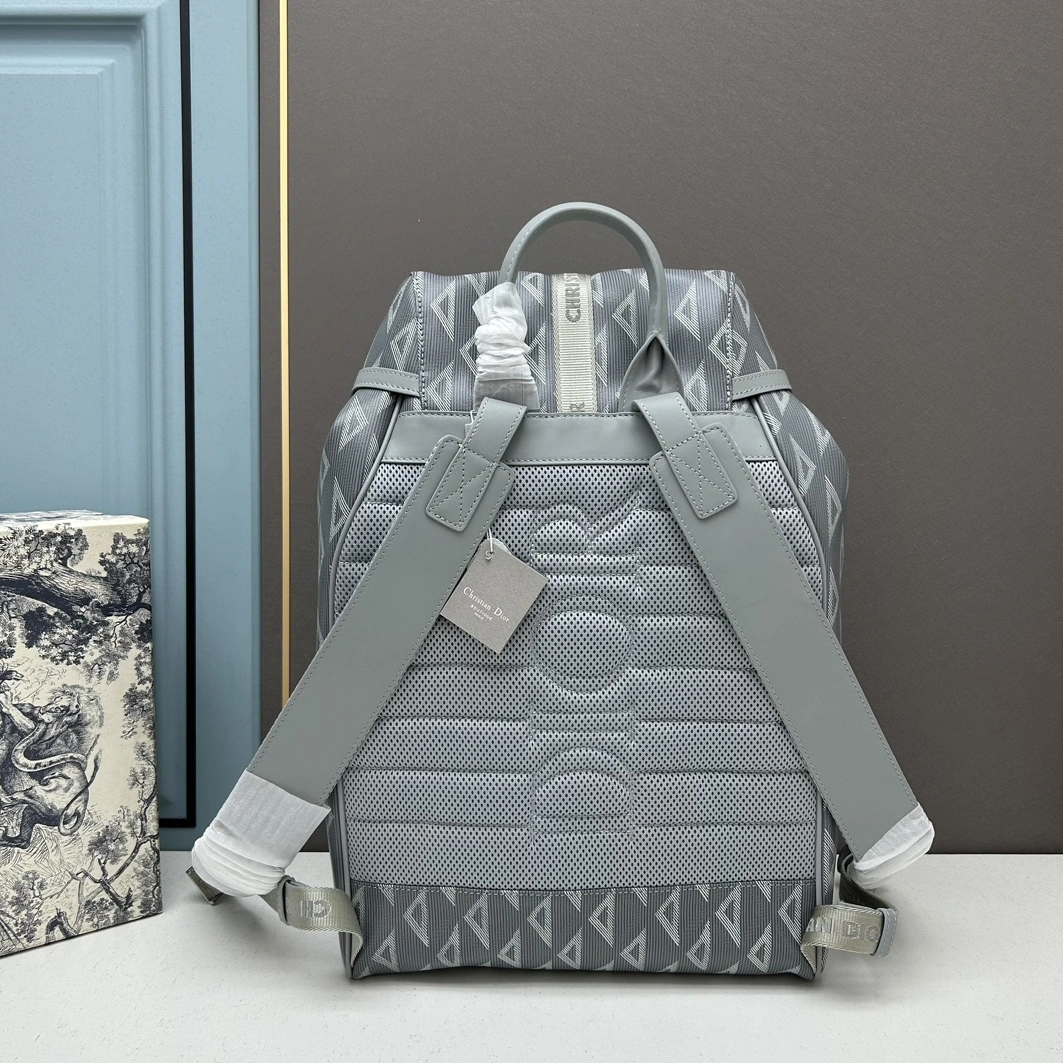 Christian Dior AAA Man Backpacks AllSeason 1012