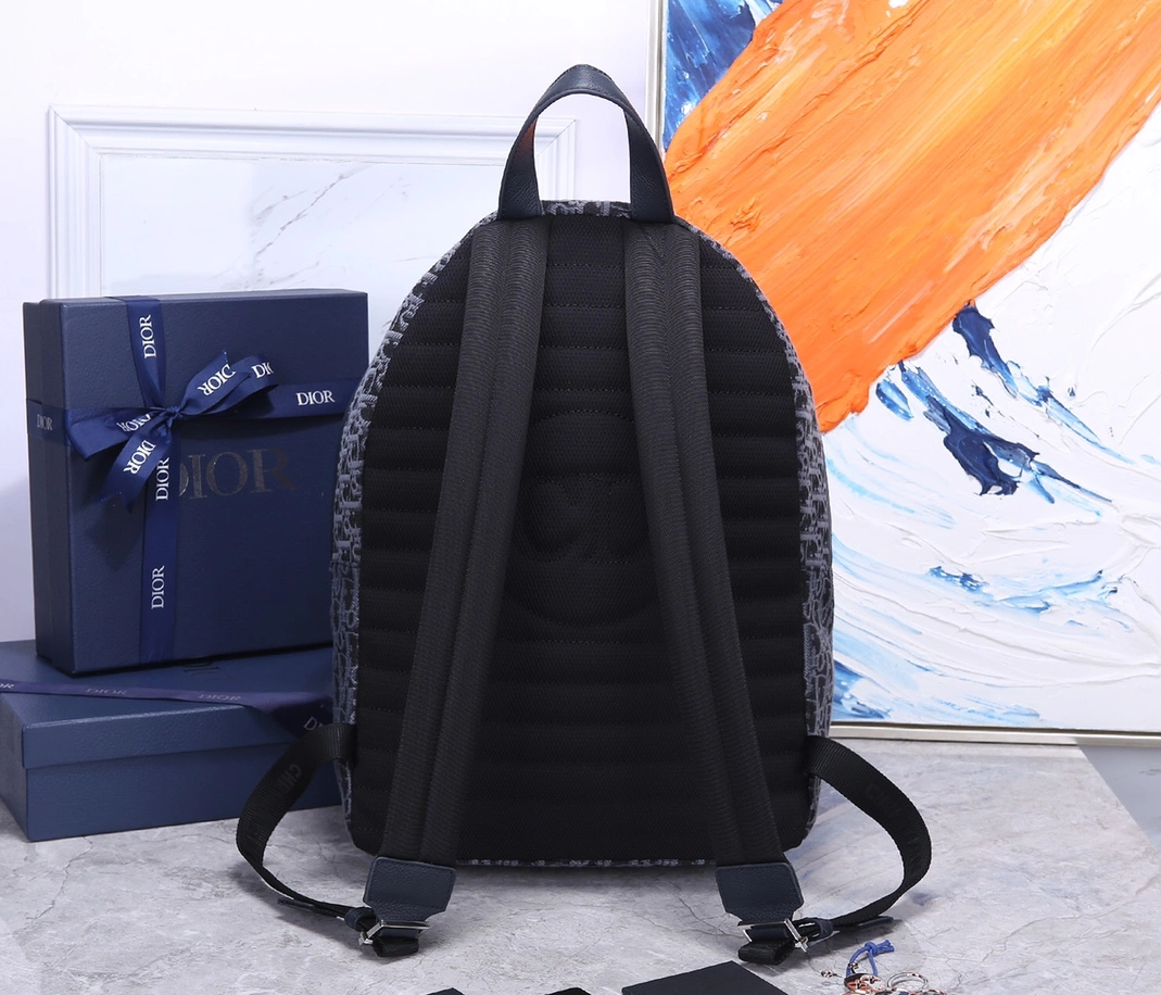 Christian Dior AAA Man Backpacks Breathable 416