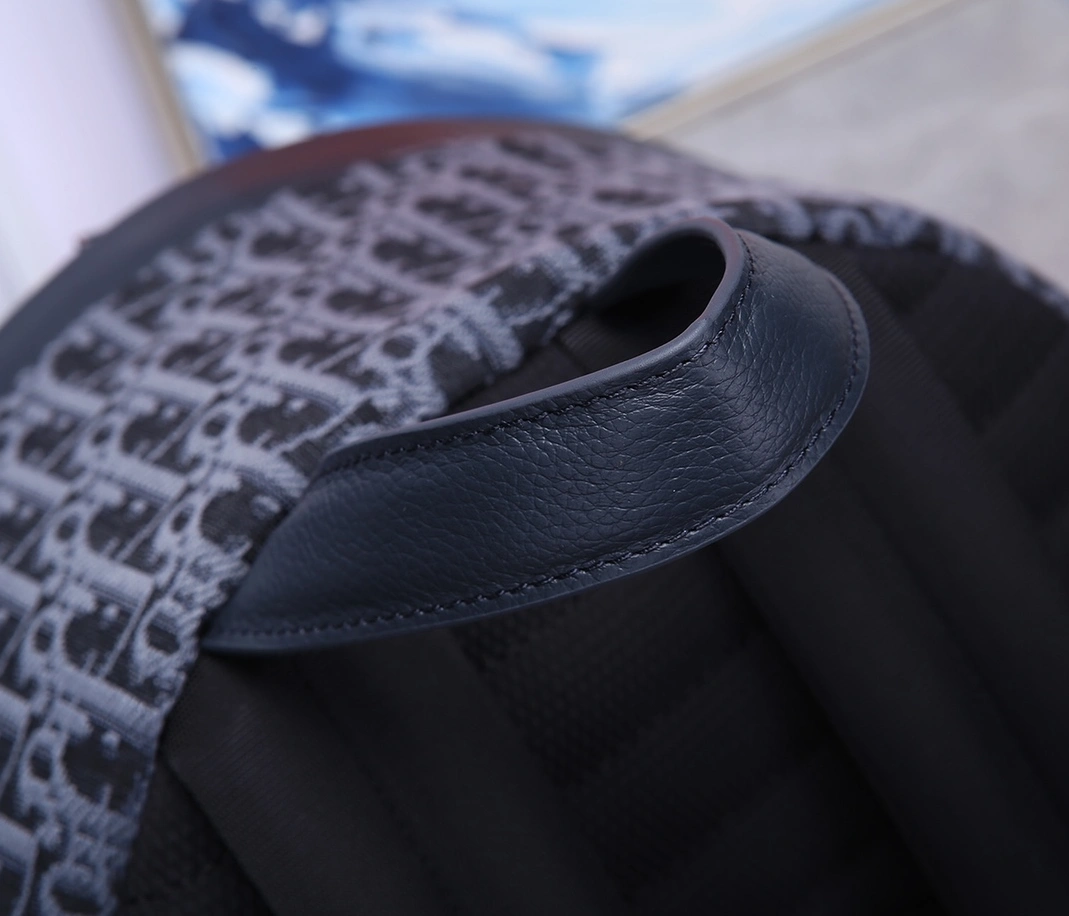 Christian Dior AAA Man Backpacks Breathable 416