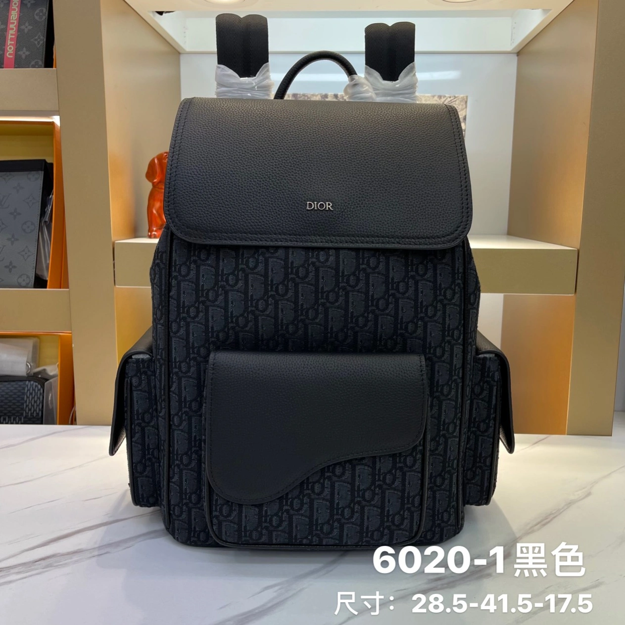 Christian Dior AAA Man Backpacks Classic 1466