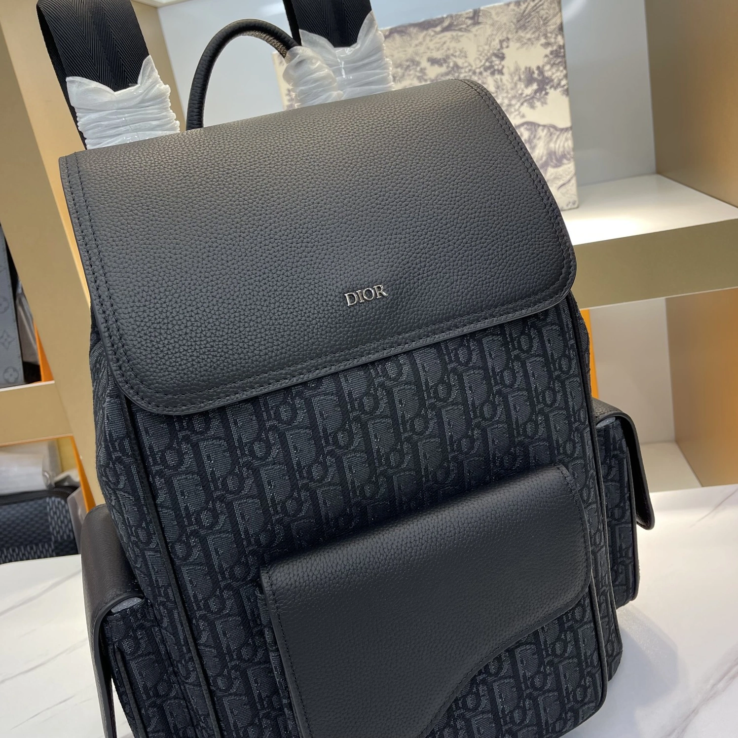 Christian Dior AAA Man Backpacks Classic 1466