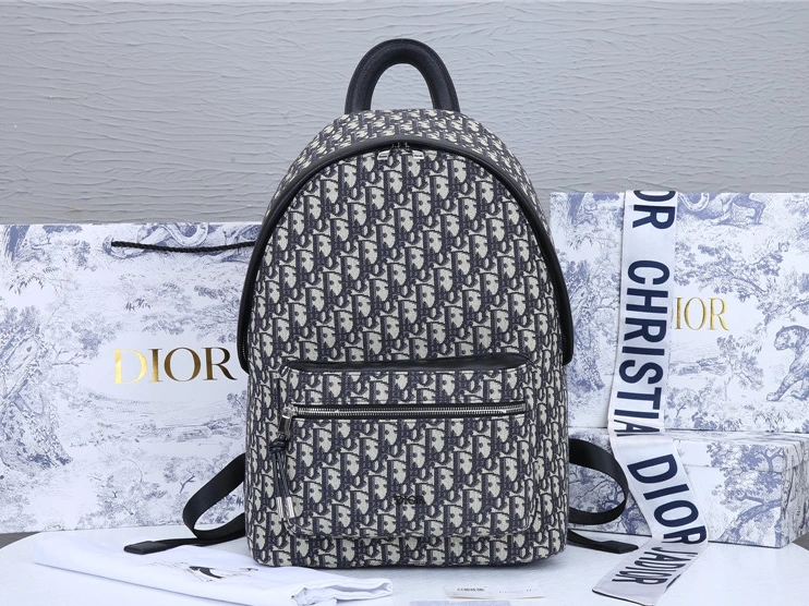 Christian Dior AAA Man Backpacks Durable 2088