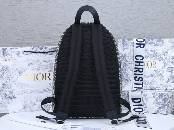 Christian Dior AAA Man Backpacks Durable 2088