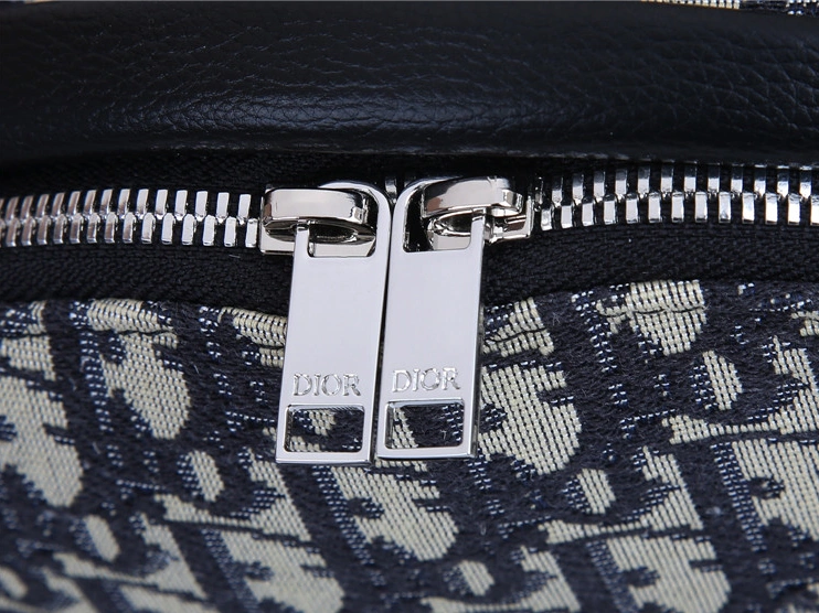 Christian Dior AAA Man Backpacks Durable 2088