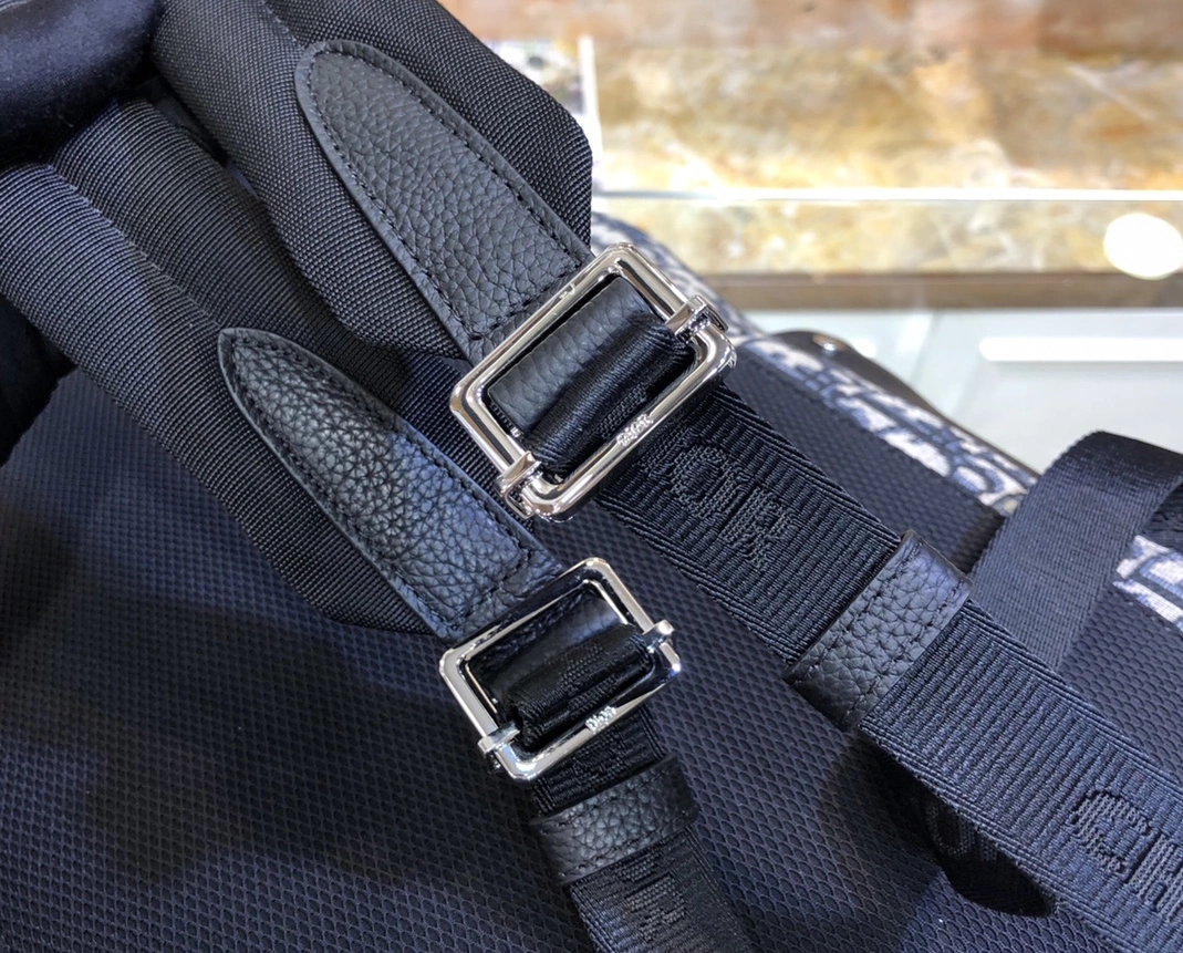 Christian Dior AAA Man Backpacks EasyMatch 9291