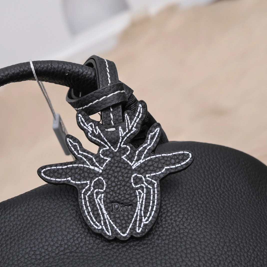 Christian Dior AAA Man Backpacks Elegant 2834