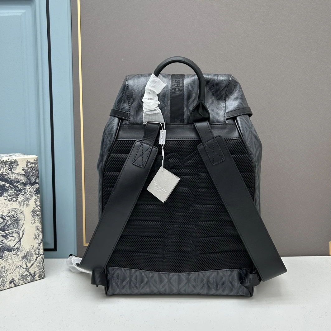 Christian Dior AAA Man Backpacks Modern 1289