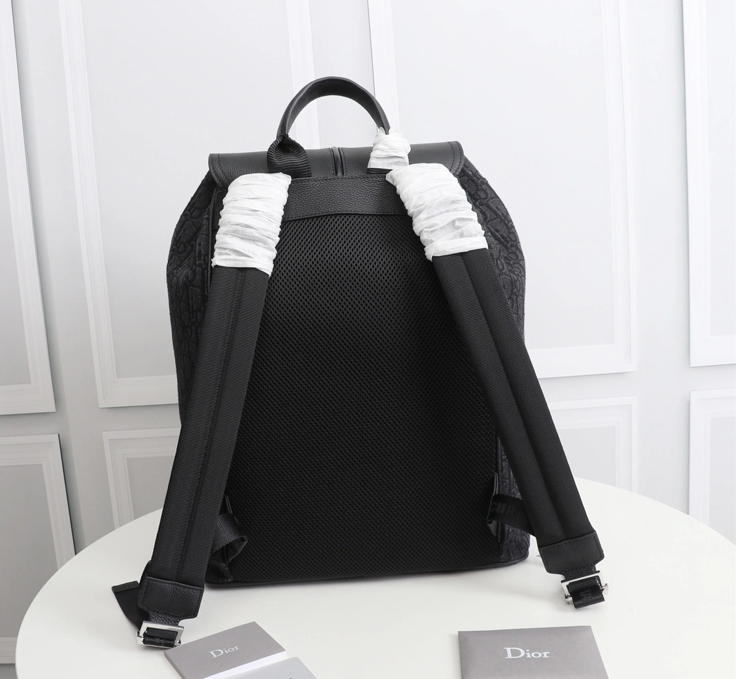 Christian Dior AAA Man Backpacks Practical 8771