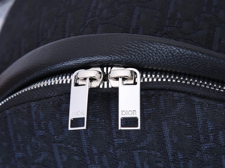 Christian Dior AAA Man Backpacks Resilient 533
