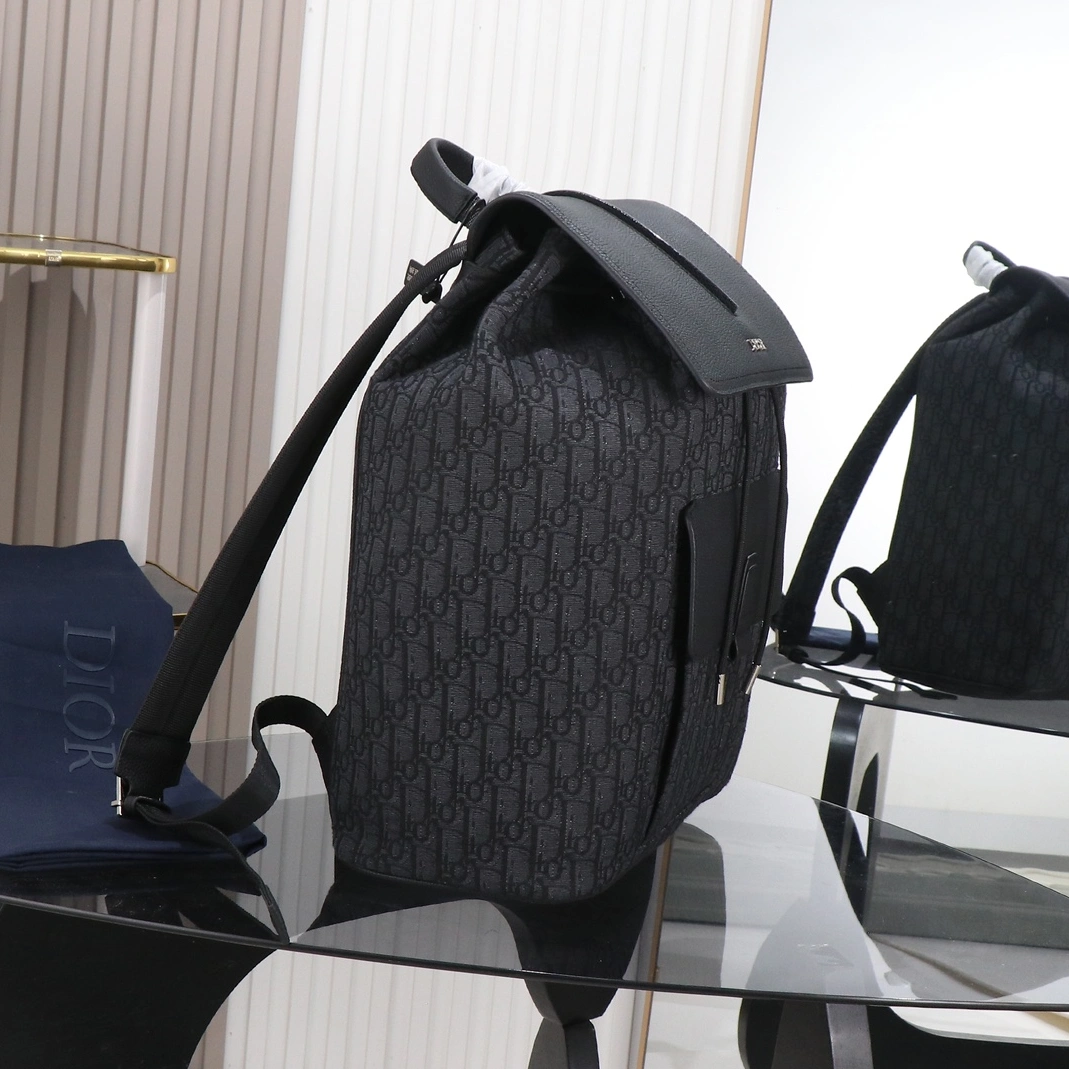 Christian Dior AAA Man Backpacks StreetReady 8260